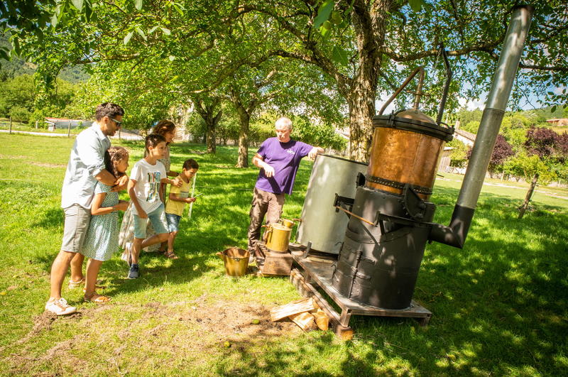 Atelier de distillation à l'ancienne de la lavande au pied du Vercors