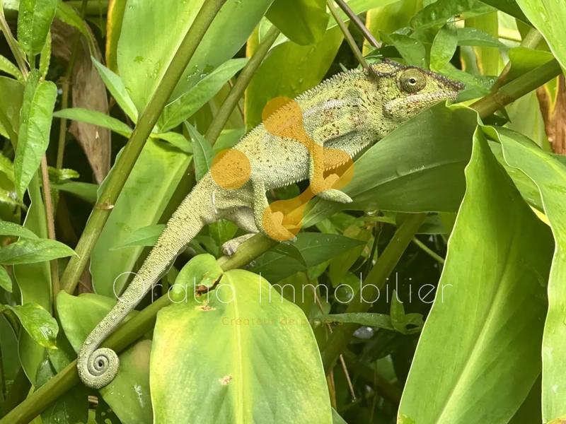 Maison chambre d'hôtes - 157 m² - 6 pièces