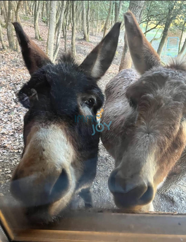 Propriété - 250 m² - 11 pièces