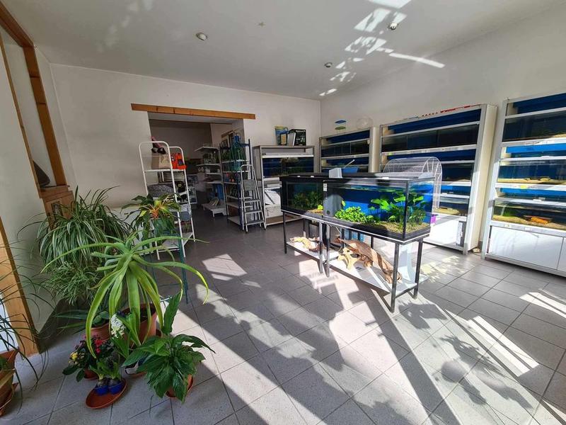 Maison - 180 m² - 6 pièces