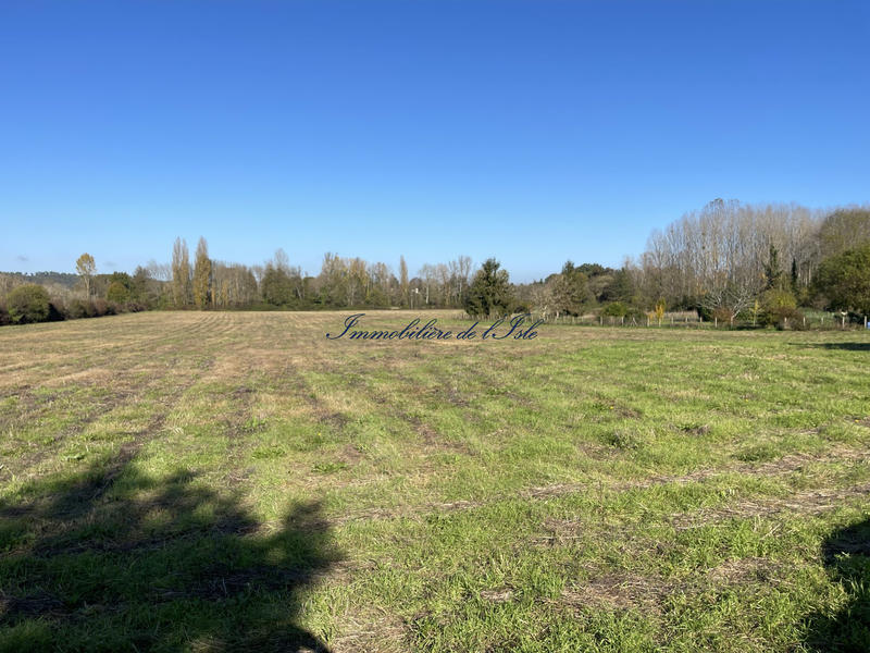 Terrain - 33 059 m²