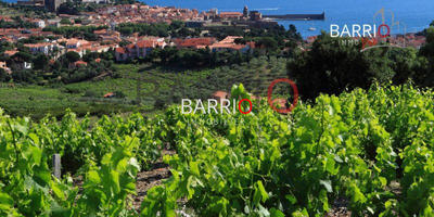 Maison - 320 m² - 1 pièce