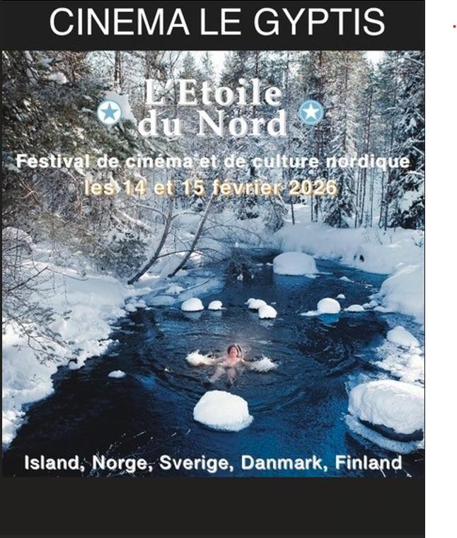 Festival de cinéma nordique