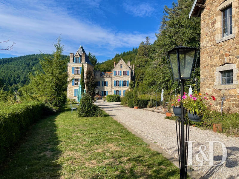 Château - 1 000 m² - 36 pièces