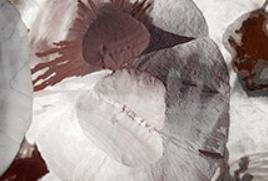 Expositions d'Automne