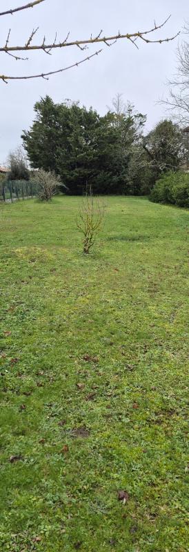 Terrain constructible - 1 133 m²