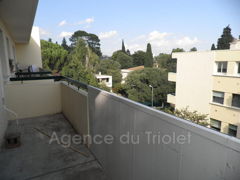 Appartement - 35 m² - 1 pièce