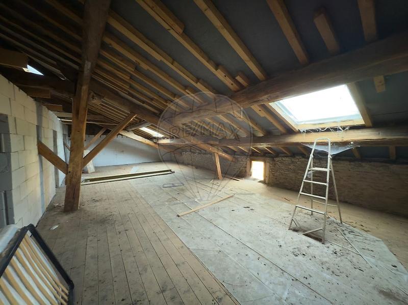 Cave / Box - 309 m²