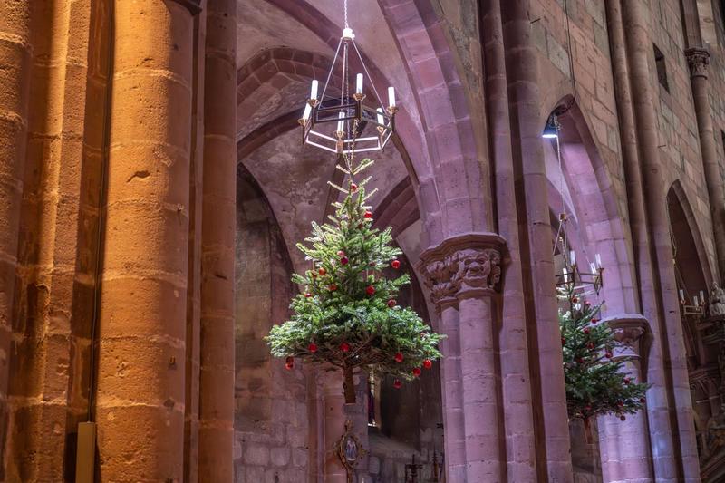 Exposition : l'histoire de l'arbre de Noël