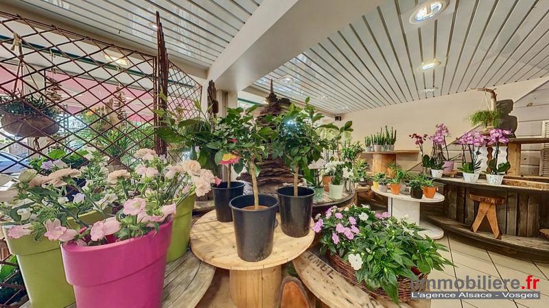 Fonds de commerce - Local commercial - 100 m²