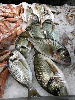 La Poissonnerie de Lattes