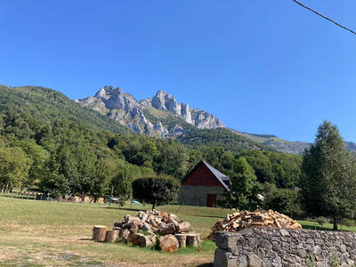 Terrain - 1 268 m²