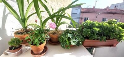 Appartement - 58 m² - 3 pièces