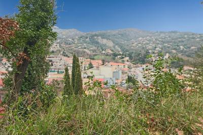 Terrain constructible - 1 003 m²