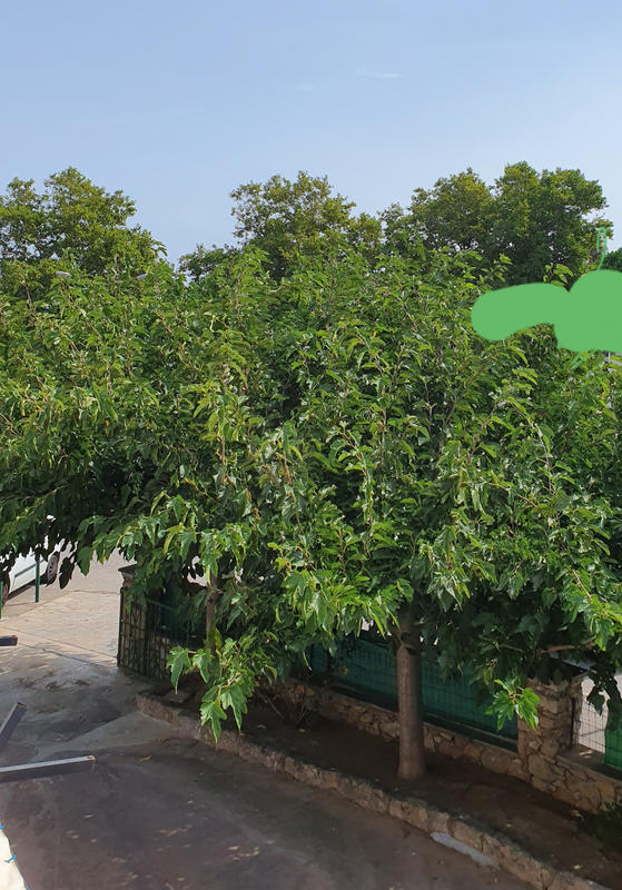 Appartement - 90 m² - 3 pièces