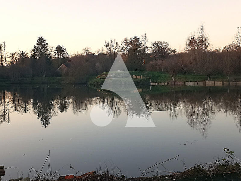 Étang - 19 895 m²