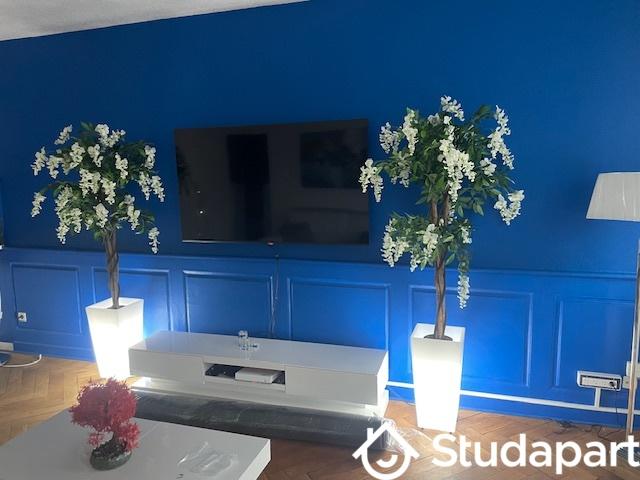 Appartement - 35 m² - 1 pièce