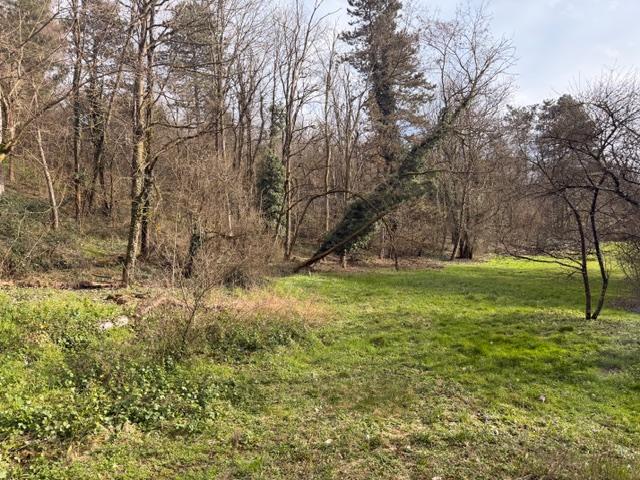 Terrain constructible - 2 372 m²