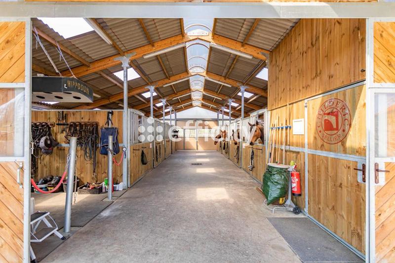 Bureau - 55 m² - 3 pièces