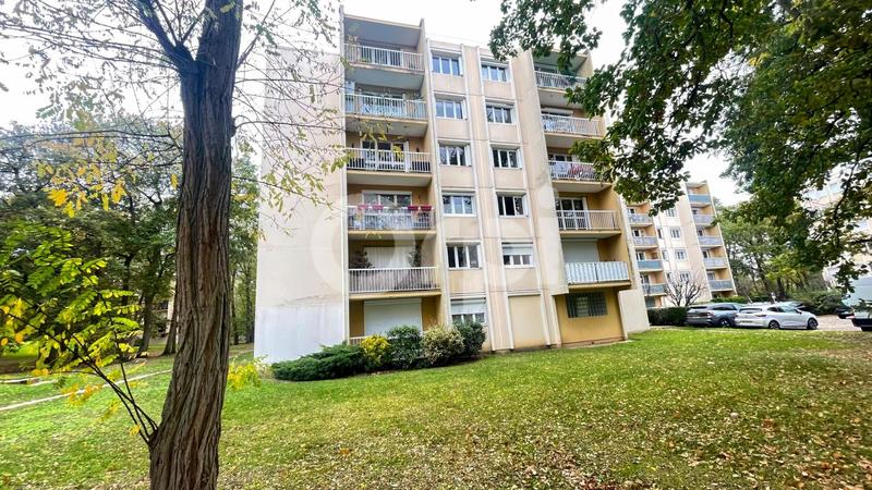 Appartement - 55 m² - 2 pièces