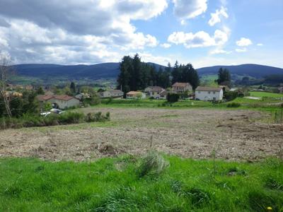 Terrain constructible - 1 538 m²