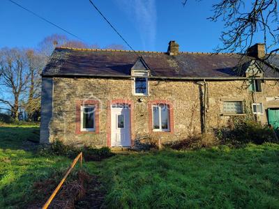 Maison en pierre - 55 m² - 3 pièces