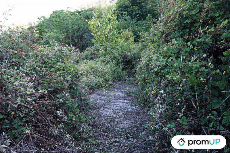 Terrain de loisirs - 1 195 m²