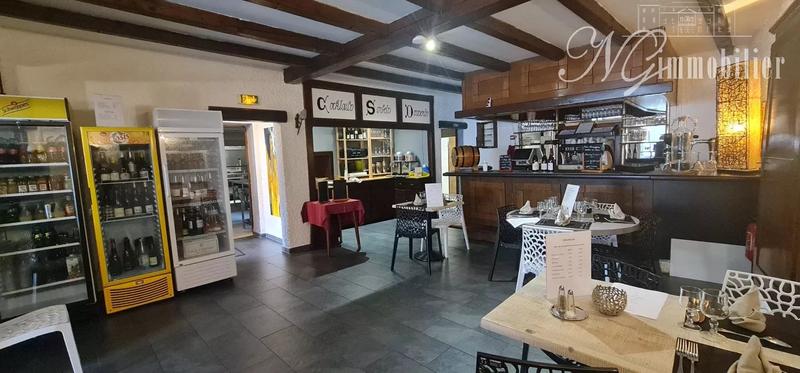 Immeuble mixte - 420 m² - 10 pièces