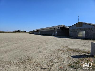 Local commercial - 1 250 m²