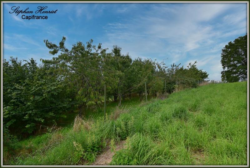 Terrain constructible - 4 770 m²