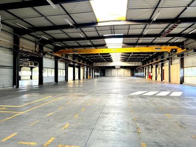 Entrepôt - 3 985 m² - 10 pièces