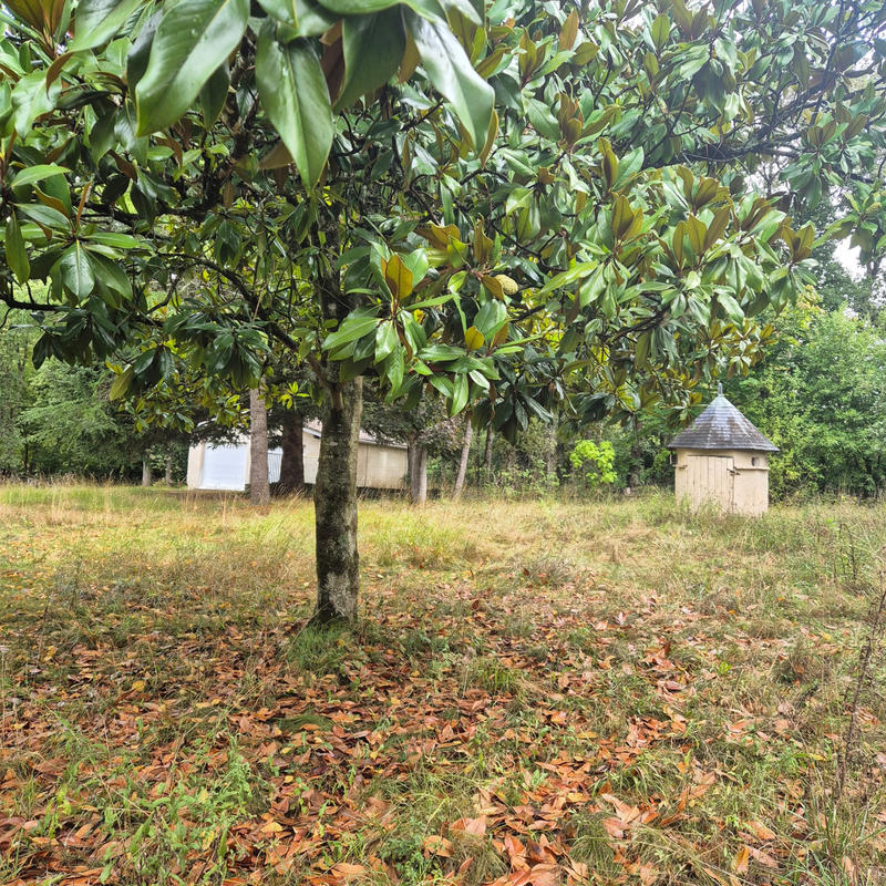 Maison - 238 m² - 9 pièces