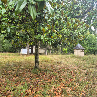 Maison - 238 m² - 9 pièces