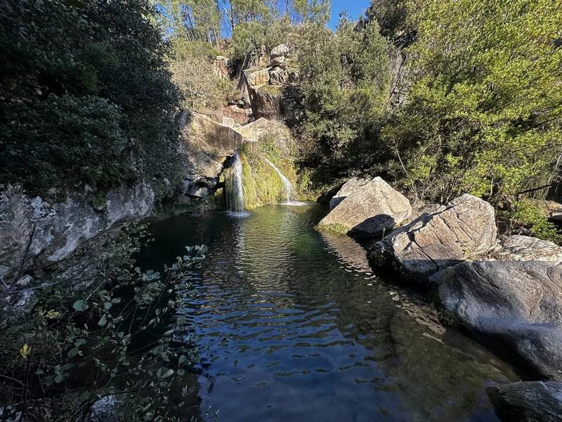 Appartement - 145 m² - 5 pièces