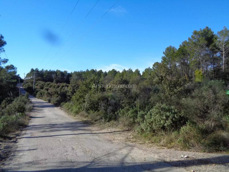 Terrain - 10 328 m²