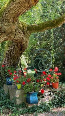 Château - 800 m² - 11 pièces