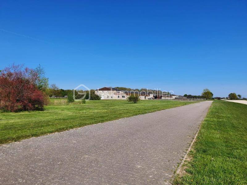 Maison de domaine équestre - 800 m² - 25 pièces