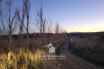 Terrain agricole - 12 550 m²