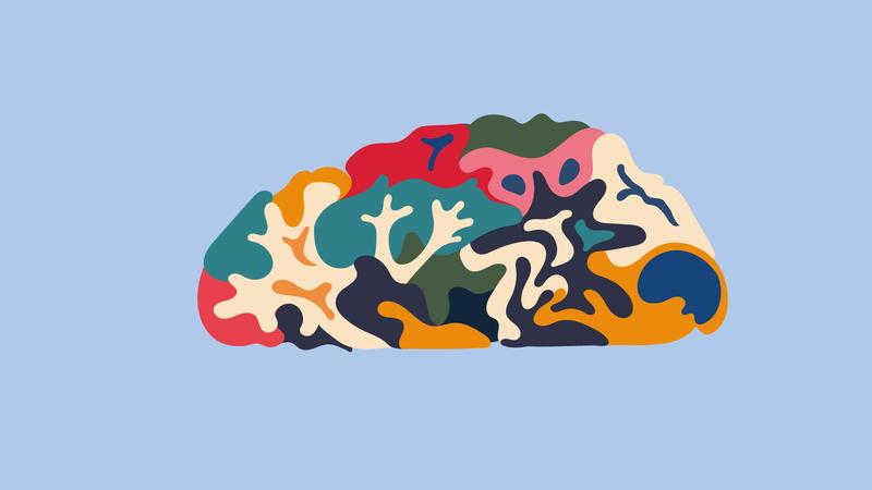 Journée Portes-Ouvertes - Semaine du Cerveau