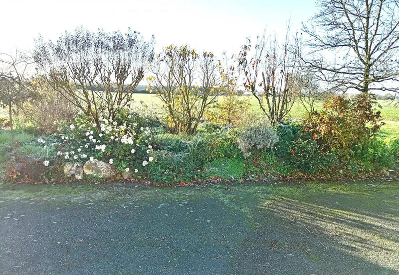 Maison - 229 m² - 8 pièces