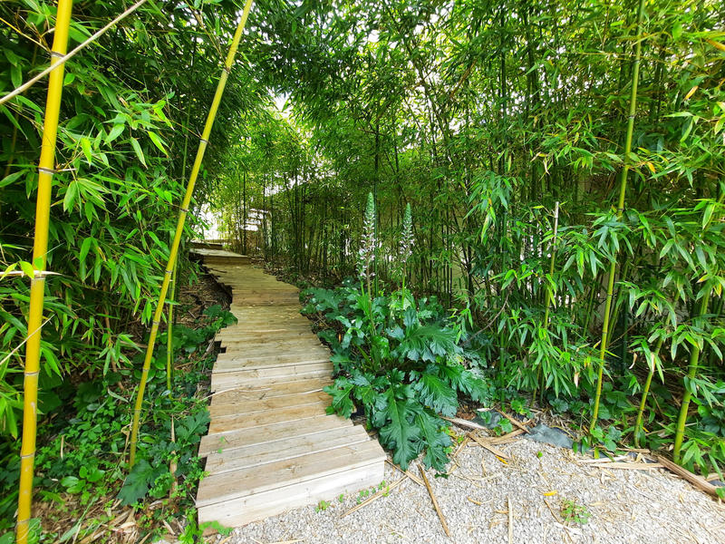 Maison - 200 m² - 6 pièces