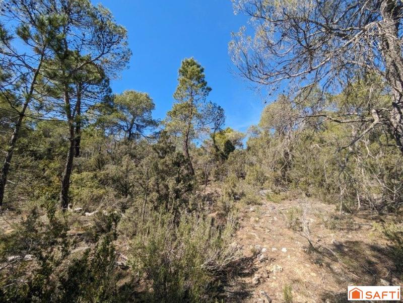 Terrain - 49 930 m²