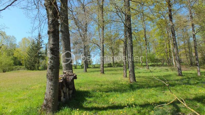 Maison traditionnelle - 219 m² - 10 pièces