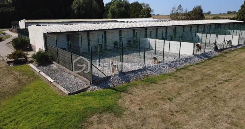 Corps de ferme - 230 m² - 6 pièces