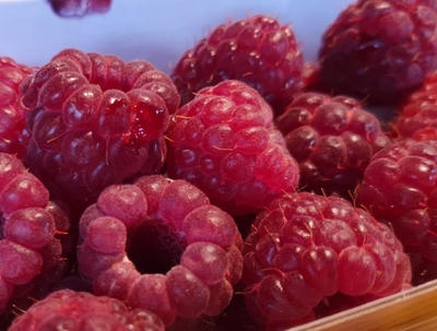 Saveurs O'Naturel - la Baule Lajarrige