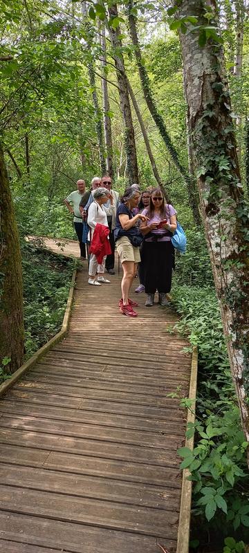 Balade "Lac, prairie, forêt, à chacun sa faune, à chacun sa flore"