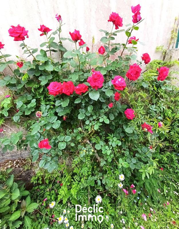 Maison - 109 m² - 7 pièces