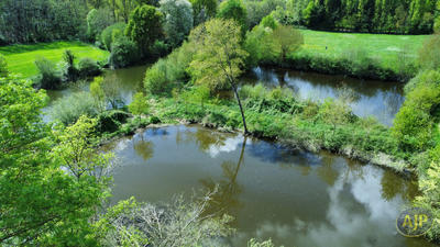 Terrain - 11 502 m²