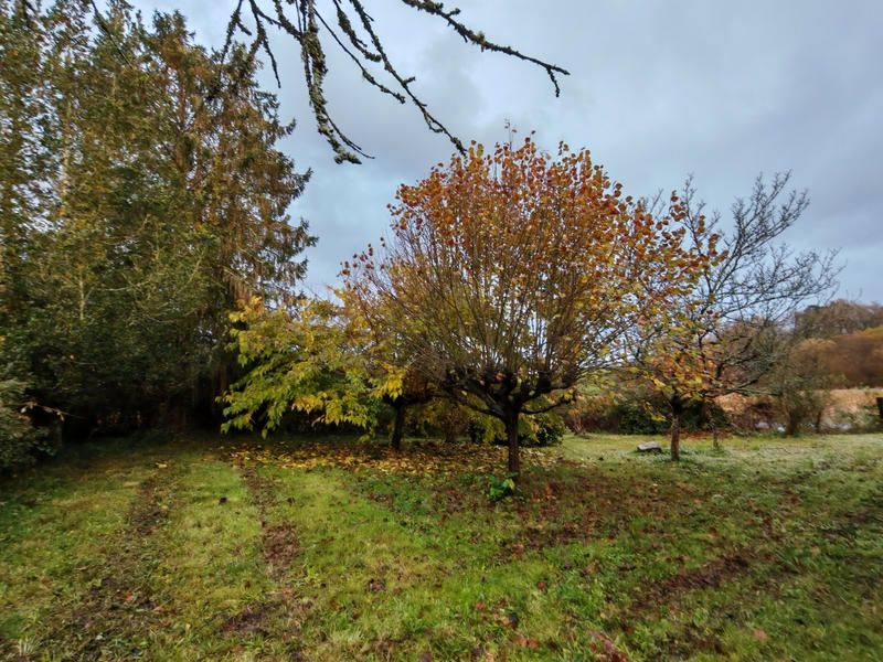 Maison - 60 m² - 3 pièces