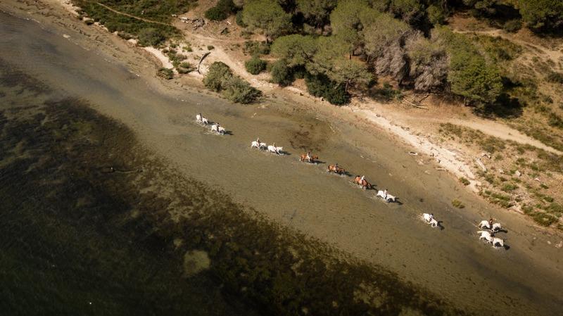 Fonds de commerce - 1 360 m²